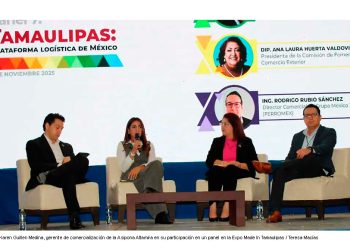 Almacenamiento privado de hidrocarburos: la apuesta más fuerte del puerto de Altamira