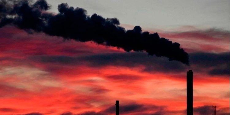 Transición energética favorece colonialismo verde