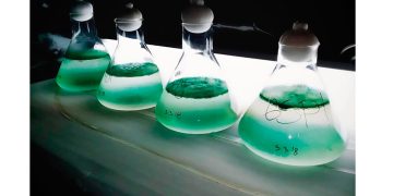 Patenta el Cicese nuevo método de cultivo de microalgas para producir biodiésel
