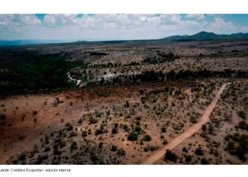 Los dueños de Groenlandia ya no quieren hielo: Encontraron «algo» en los desiertos mexicanos