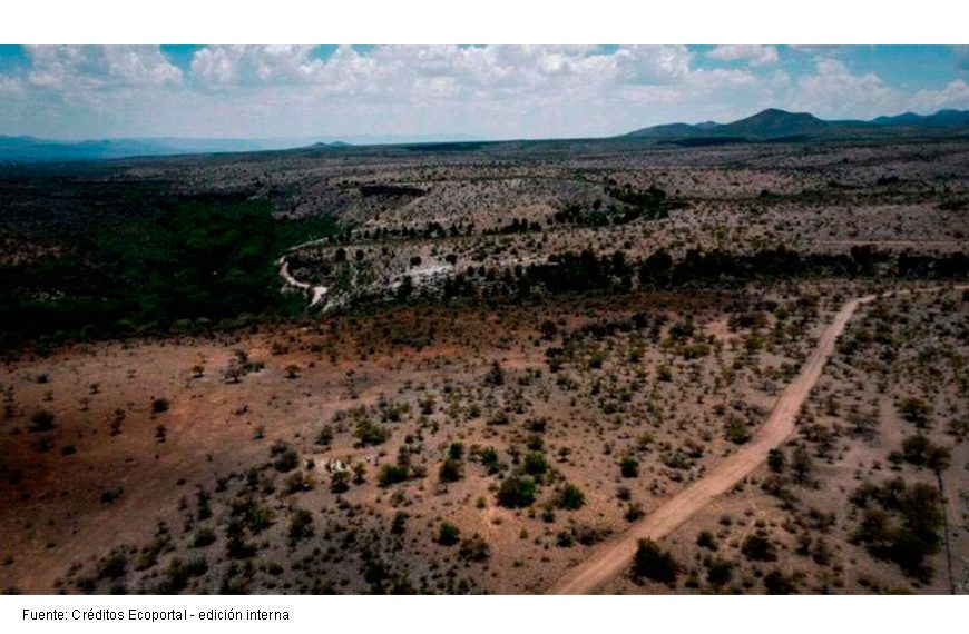Los dueños de Groenlandia ya no quieren hielo: Encontraron «algo» en los desiertos mexicanos