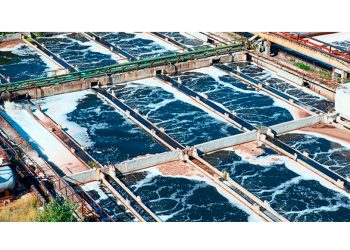 Aguas residuales: los microorganismos electroquímicamente activos convierten la energía química en electricidad