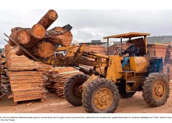 Busca SIDE detonar crecimiento económico de Parral con inversión en minería e industria forestal