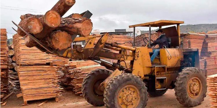 Busca SIDE detonar crecimiento económico de Parral con inversión en minería e industria forestal