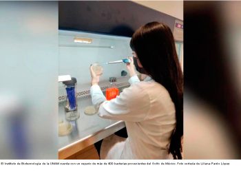 Científicos de la UNAM investigan bacterias que degradan hidrocarburos