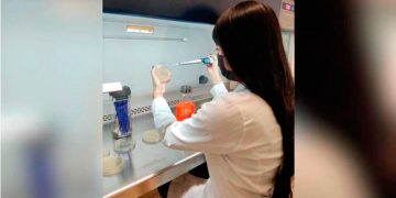 Científicos de la UNAM investigan bacterias que degradan hidrocarburos