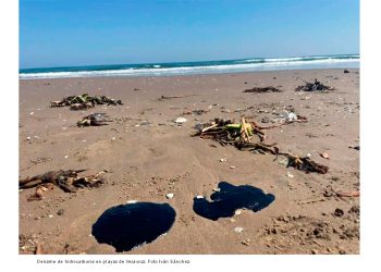 Detectar efectos tóxicos por derrame de hidrocarburos en el Golfo llevará meses y será costoso: expertos