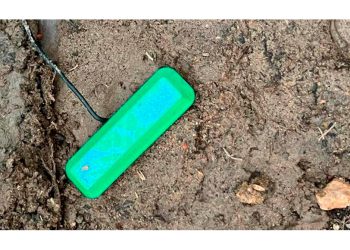 Científicos desarrollan una tecnología que genera electricidad infinita procedente del suelo utilizando bacterias para producir corriente