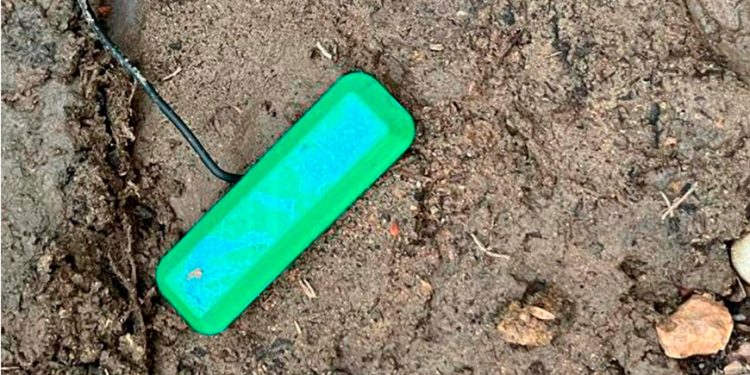 Científicos desarrollan una tecnología que genera electricidad infinita procedente del suelo utilizando bacterias para producir corriente