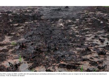 ASEA concluye 12 investigaciones sin sanciones por derrames petroleros