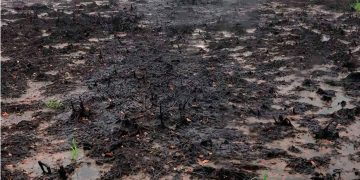 ASEA concluye 12 investigaciones sin sanciones por derrames petroleros