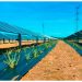 México apuesta por la agrovoltaica: paneles solares que no compiten con la tierra, sino que la protegen