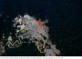 La fiebre por los minerales críticos dispara la minería ilegal en la Amazonía