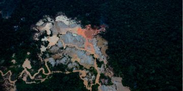 La fiebre por los minerales críticos dispara la minería ilegal en la Amazonía