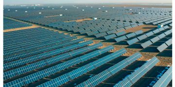 China fabricó en un año más paneles solares de los que el planeta puede absorber. Ahora el mercado se está devorando a sí mismo