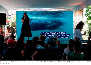 Golfo de California en riesgo: exigen a Semarnat declararlo «hábitat crítico» ante proyectos de gas