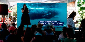 Golfo de California en riesgo: exigen a Semarnat declararlo «hábitat crítico» ante proyectos de gas