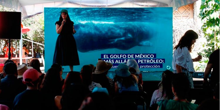 Golfo de California en riesgo: exigen a Semarnat declararlo «hábitat crítico» ante proyectos de gas