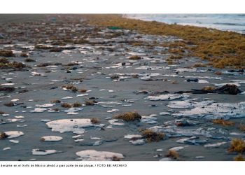 Greenpeace denuncia a Pemex por derrames en el Golfo de México