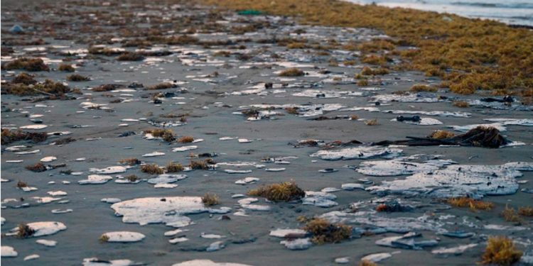 Greenpeace denuncia a Pemex por derrames en el Golfo de México
