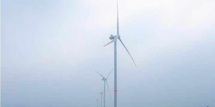 Tamaulipas sumará más de 2,500 MW con seis nuevos parques eólicos