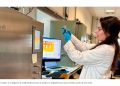Desarrollan una tecnología que convierte huesos de aceituna en gas natural sintético