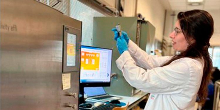 Desarrollan una tecnología que convierte huesos de aceituna en gas natural sintético
