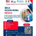 Borrador automático