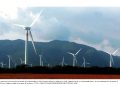 CSP confirma 55 nuevos parques privados de energía renovable