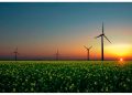 México impulsa 55 proyectos de energía renovable con 3.000 MW privados y colaboración de la CFE