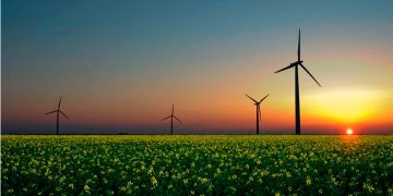 México impulsa 55 proyectos de energía renovable con 3.000 MW privados y colaboración de la CFE