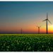 México impulsa 55 proyectos de energía renovable con 3.000 MW privados y colaboración de la CFE