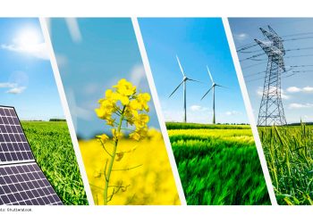 El mundo sumará menos capacidad de energía limpia este año, afirma titular de la IRENA
