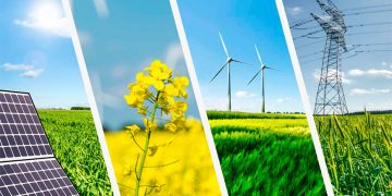 El mundo sumará menos capacidad de energía limpia este año, afirma titular de la IRENA