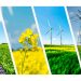 El mundo sumará menos capacidad de energía limpia este año, afirma titular de la IRENA