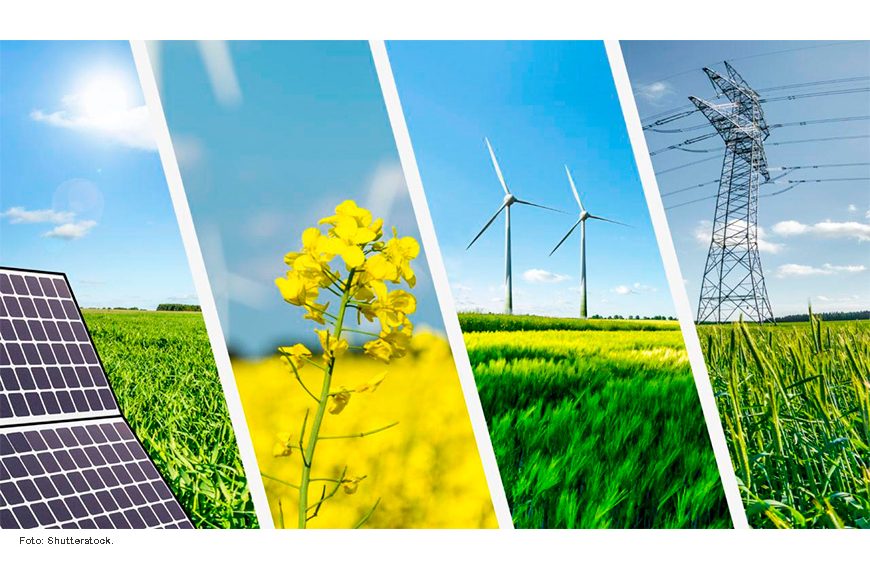 El mundo sumará menos capacidad de energía limpia este año, afirma titular de la IRENA