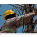 México alcanza 99.88% de cobertura eléctrica; Invertirá 1 billón 168 mil 710 millones de pesos en electricidad y gas hacia 2030: Energía
